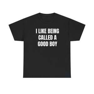 I Like Being Called A Good Boy Funny Graphic Meme Humor Unisex Gift T-shirt
